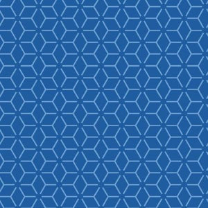 Blue Connected Stars 108" fabric by Maywood Studios, MASQB200-B