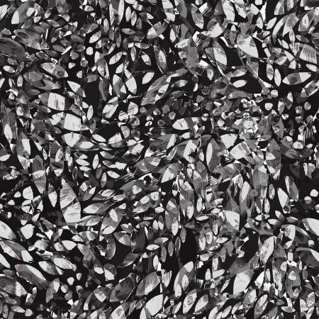 Black/White Dappled Leaves 108" fabric by Maywood, MASQBD106-JW