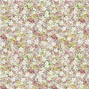 Petite Princess 44" fabric by Michael Miller, DDC9276-Crem-d, Songs of the flower fairies